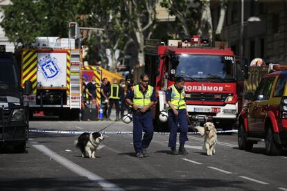 Dos bomberos con perros que trabajan en la búsqueda.