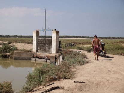 Un mariscador en la zona de la Algaida donde se alija la droga en Salúcar de Barrameda, Cádiz