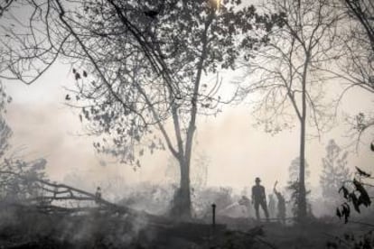 Bomberos apagan un fuego en Kampar (Sumatra) en septiembre 2015.