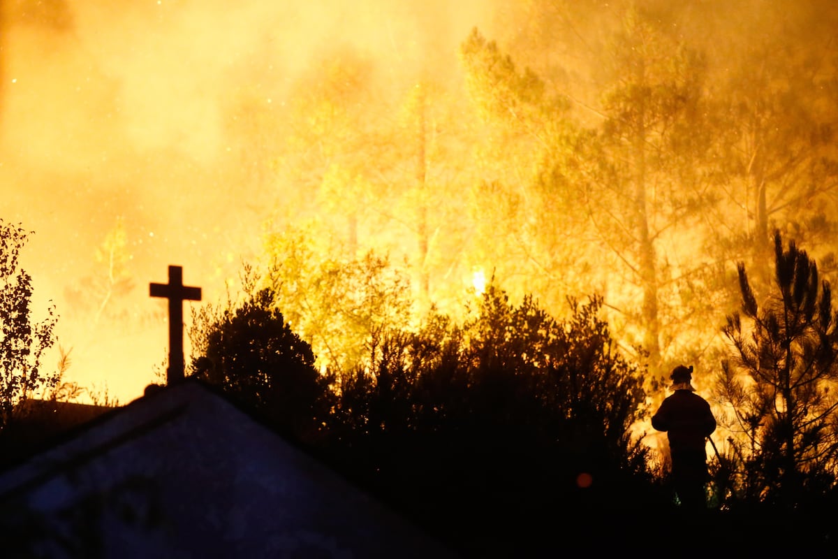 Última hora de los incendios en España, en directo | El Gobierno declara zonas catastróficas las áreas afectadas en los incendios en el primer Consejo de Ministros del curso