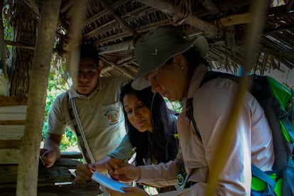 La bióloga química y fundadora de la ONG Amazon Research International Rosa Vásquez Espinoza durante un trabajo de campo en una imagen de archivo.