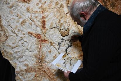 El licenciado en artes gráficas y doctor en prehistoria Gilles Tosello es el principal responsable de replicar las pinturas rupestres.