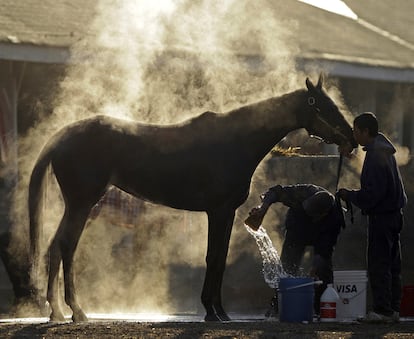 Dos operarios lavan a un caballo a las puertas de un establo en Churchill Downs, Louisville, Kentucky.