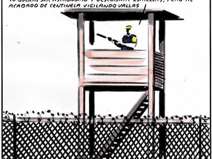 El Roto
