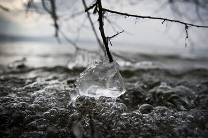 El hielo cuelga de una rama en el Lago de Starnberg en Baviera, a poco más de 25 km al sudoeste de Múnich, el 25 de febrero de 2013.