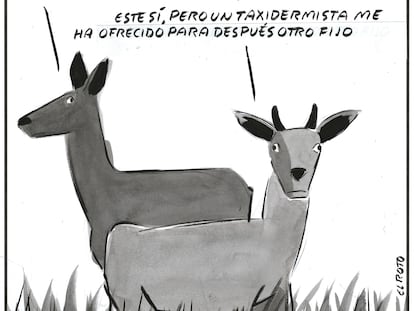 El Roto