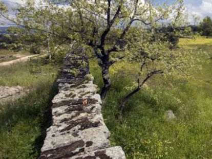 Para crear cualquier finca registral hay que identificar su ubicaci&oacute;n y linderos tomando como base el Catastro. 