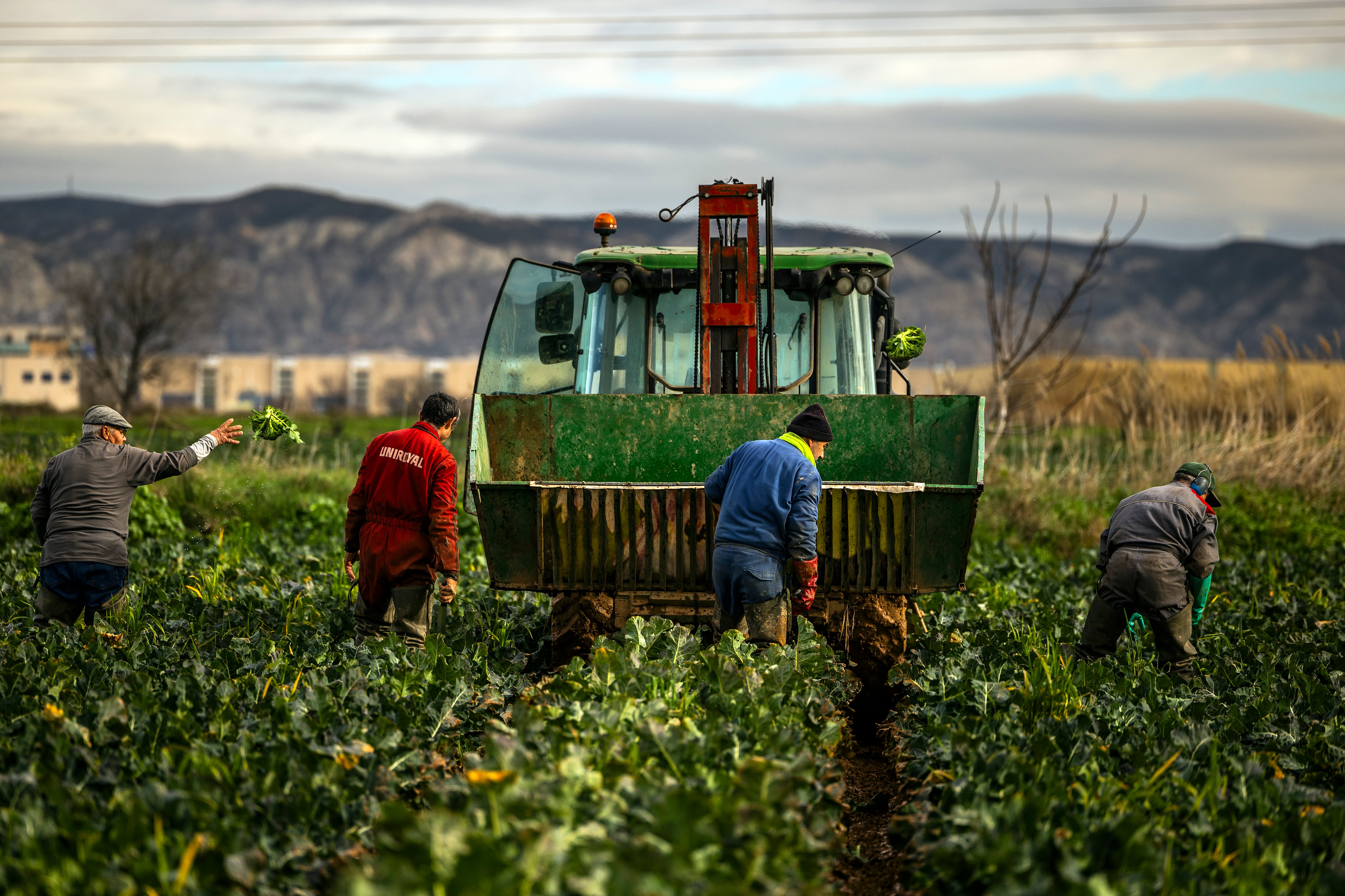 La guerra en Irán impacta ya en la producción de alimentos por el encarecimiento de los fertilizantes