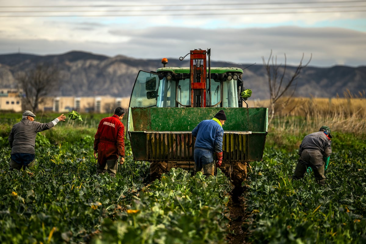 Cierre del estrecho de Ormuz: riesgo de hambruna global