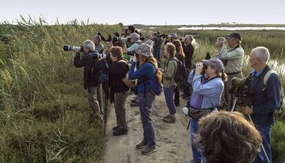 Público del Delta Birding Festival, observando aves. 