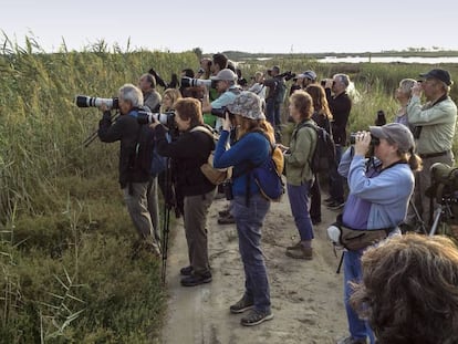 Público del Delta Birding Festival, observando aves. 