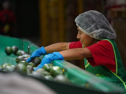 El aguacate fue uno de los productos que más incrementos tuvo durante el mes de abril en México.