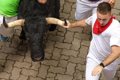 Un mozo se agarra a la cornamenta de uno de los toros de la ganadería gaditana de Fuente Ymbro en el tramo final que desemboca en el callejón de la Plaza de Toros.