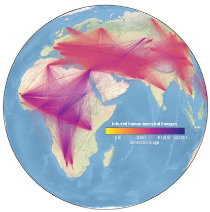 Representación del árbol genealógico de los humanos con la situación geográfica de cada linaje estudiado.