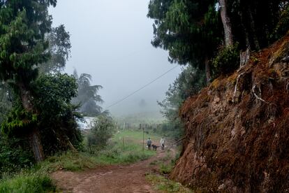 Sumapaz