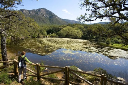 Una zona del parque natural de Los Alcornocales, en Cádiz.