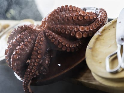 ¿Barato y a rodajas? Quizá no esté comprando pulpo…