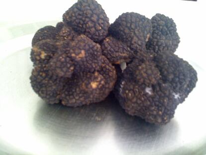 Trufas de verano