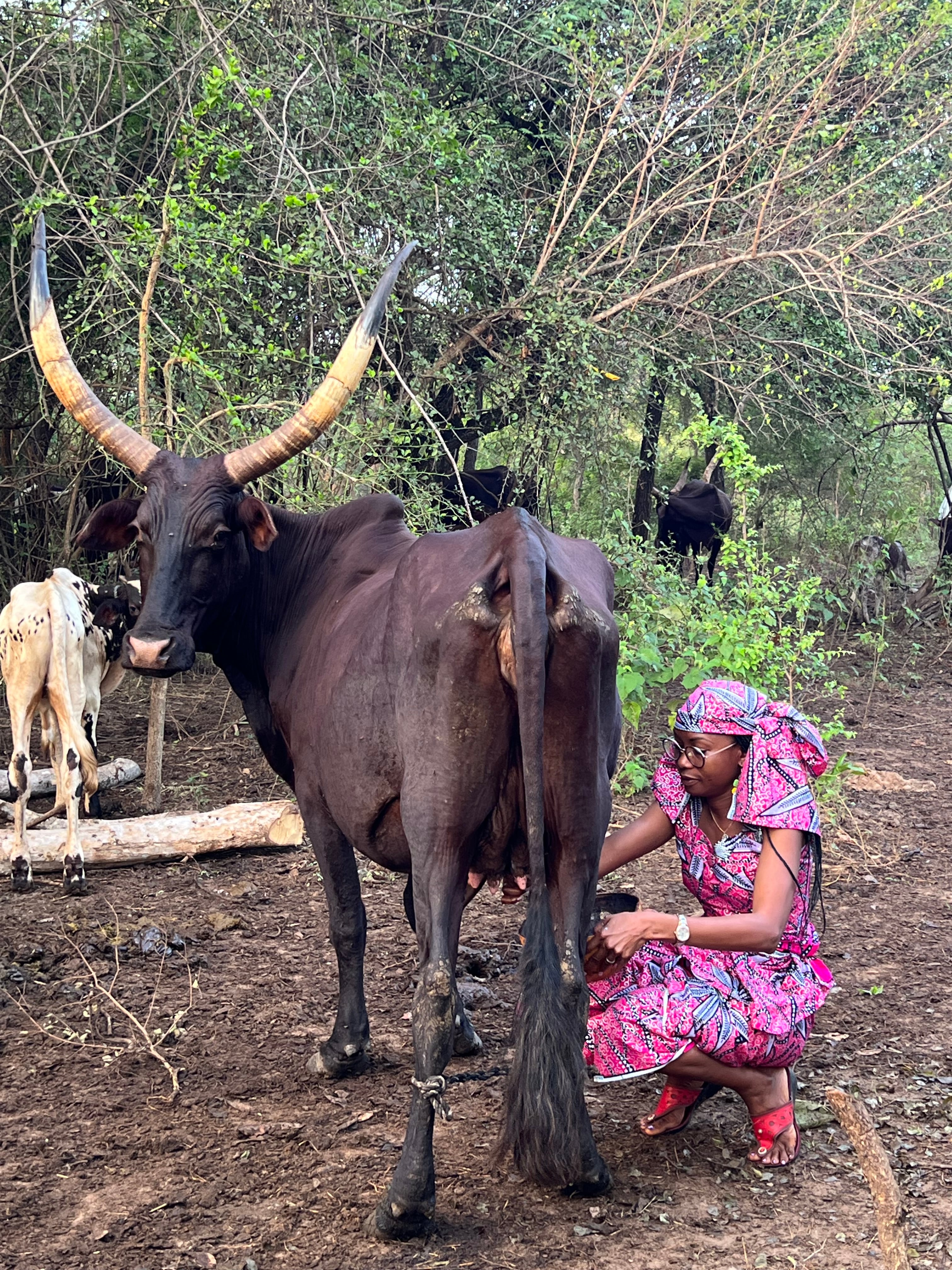 Hindou Oumarou Ibrahim, en una comunidad nómada del sur de Chad, en una imagen cedida.