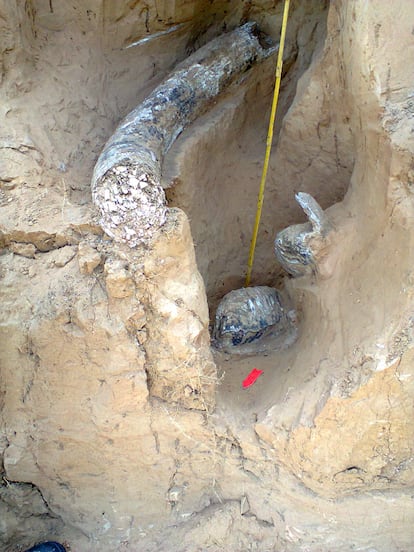 Artifacts at the paleontological site near Kostiantynivka, Ukraine.