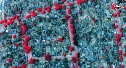 Imagen de una zona de Bama arrasada por Boko Haram.
