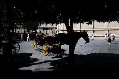 Un coche de caballos apostado bajouna sobra en el centro histórico de Sevilla. FOTO: PACO PUENTES (EL PAÍS)