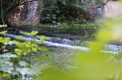 Un paisaje de la comarca jiennense de Sierra Mágina. / FOTO CEDIDA POR LA ASOCIACIÓN DE DESARROLLO RURAL DE SIERRA MÁGINA.