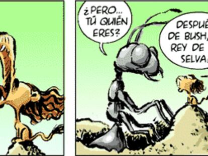 RAMÓN