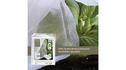 Vegetable shells on white background.