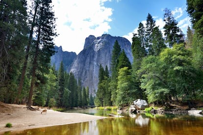 Panorámica del parque nacional de Yosemite, en California (EE UU).