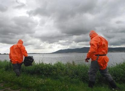 Técnicos del departamento de Salud y Consumo del estado alemán de Turingia buscan en las orillas de un lago posibles aves muertas por el virus H5N1.