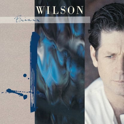 Cover of the album 'Brian Wilson'.  