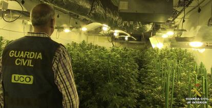 Incautación de Marihuana por parte de la Guardia Civil.