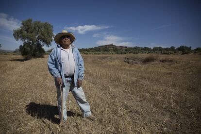 Ascensi&oacute;n Ramos, en el campo aleda&ntilde;o al lugar donde dispararon a Lagos. 