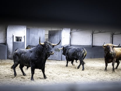 Toros de Cuadri reseñados para la corrida celebrada el 2 de abril de 2023 en Las Ventas.