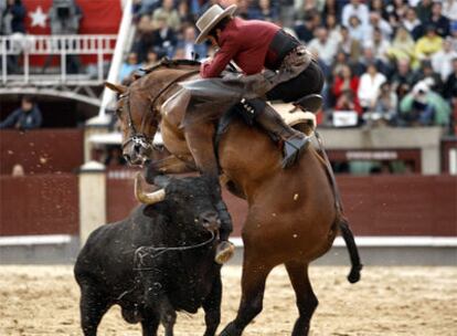 Momento en el que el segundo toro cornea a Patanegra ayer en Las Ventas.