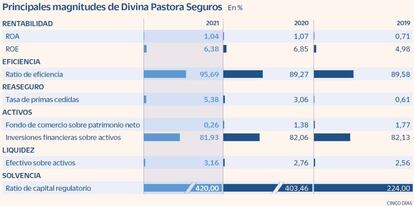 Principales magnitudes de Divina Pastora Seguros