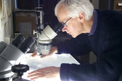 Malcolm Hartley analizando fotografías del cielo tomadas en el Observatorio de Siding Spring, en Australia