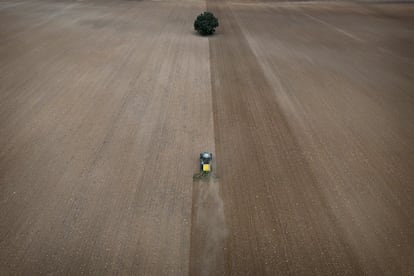 Un tractor trabaja en la siembra del cereal en un campo en Caravaca de la Cruz (Murcia), el 30 de enero. 