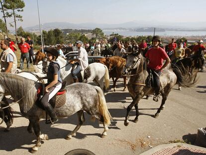 Desfile de caballos contra la normativa del Medio Rural
