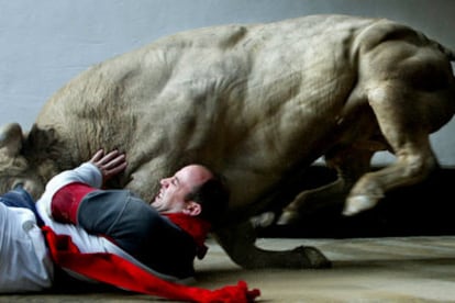 Serie fotográfica de la cornada de 'Austero' a Óscar Torrecilla.