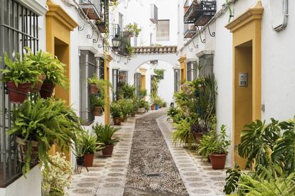 Una calle de la judería cordobesa, decorada con macetas y plantas, colgadas de las rejas y en el suelo.