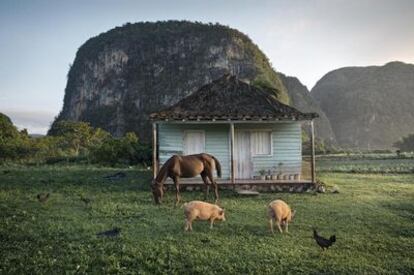 Un mogote de Viñales, región tabaquera a hora y media en coche de La Habana.