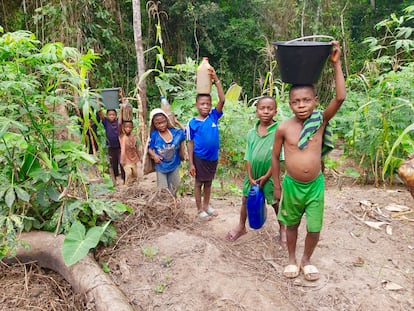Una presa sobre el río Dja frena la vida de los pigmeos en Camerún