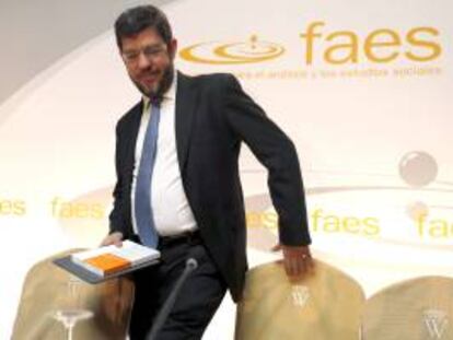 El secretario de Estado de Energía, Alberto Nadal. EFE/Archivo