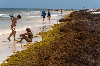 Turistas pasean a la orilla de la playa en Tulum, Quintana Roo, en mayo de 2019.