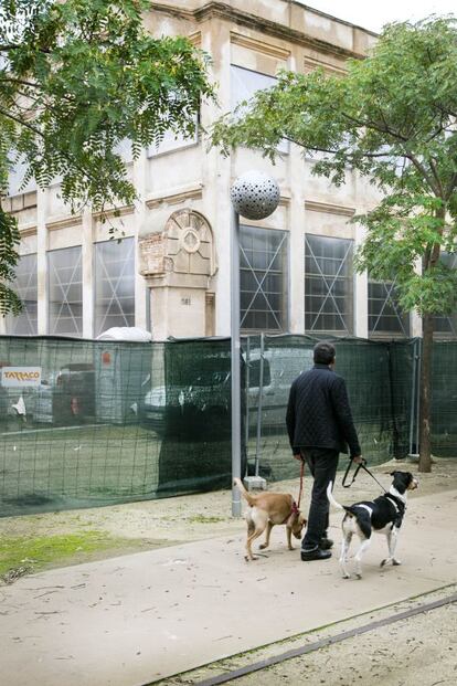 Un hombre pasea sus perros en el Parc Central de Poblenou, junto a la nave de Oliva Artés.