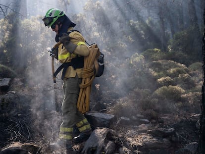 Un bombero lucha contra las llamas del incendio forestal declarado el pasado jueves 8 de septiembre en Sierra Bermeja, en la provincia de Málaga.