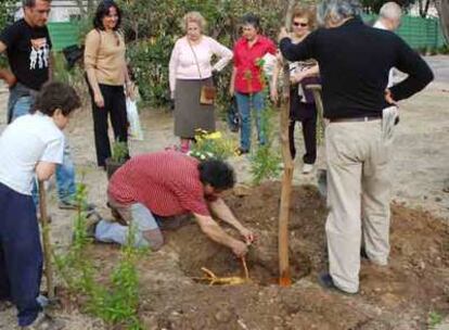 Vecinos de Chamberí plantan una morera en el parque de Santander, donde se construye un campo de golf.