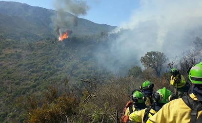 Imagen del incendio en Estepona (Málaga).